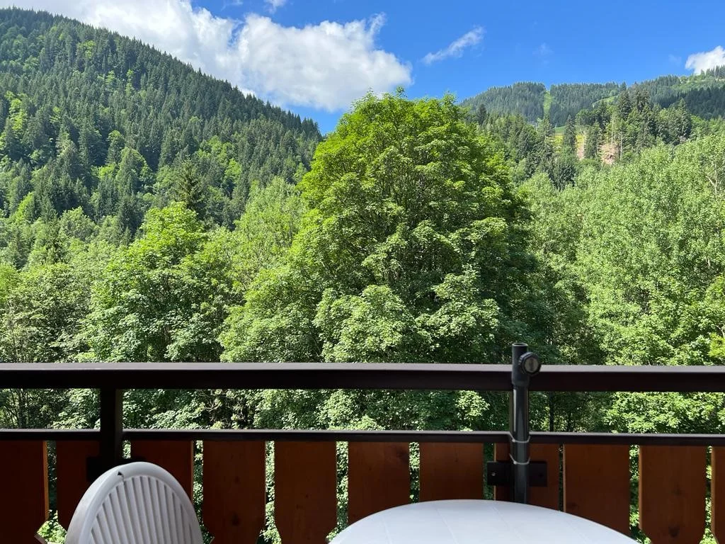 Vue dégagée sur les montagnes depuis le balcon